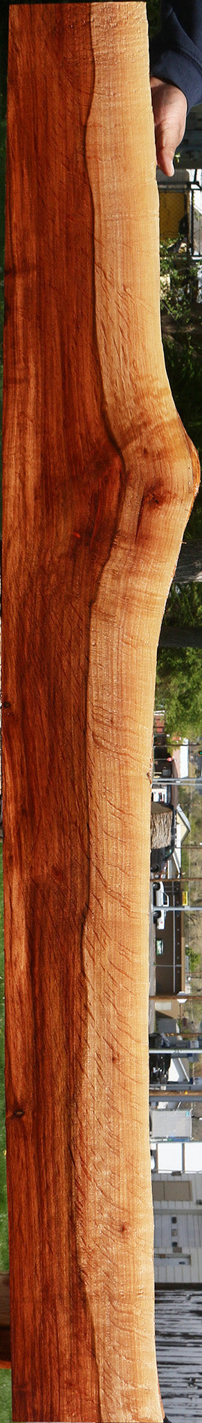 Extra Fancy Beefwood Live Edge Lumber