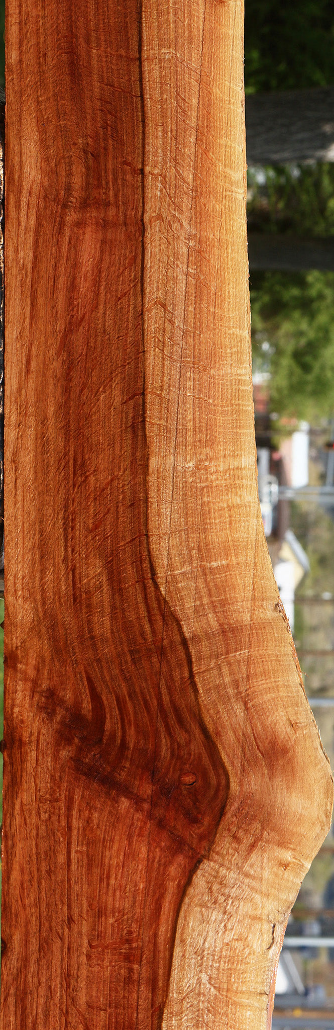 Extra Fancy Beefwood Live Edge Lumber