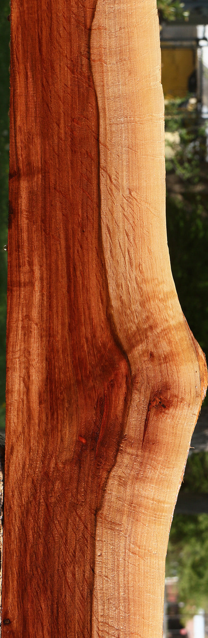 Extra Fancy Beefwood Live Edge Lumber