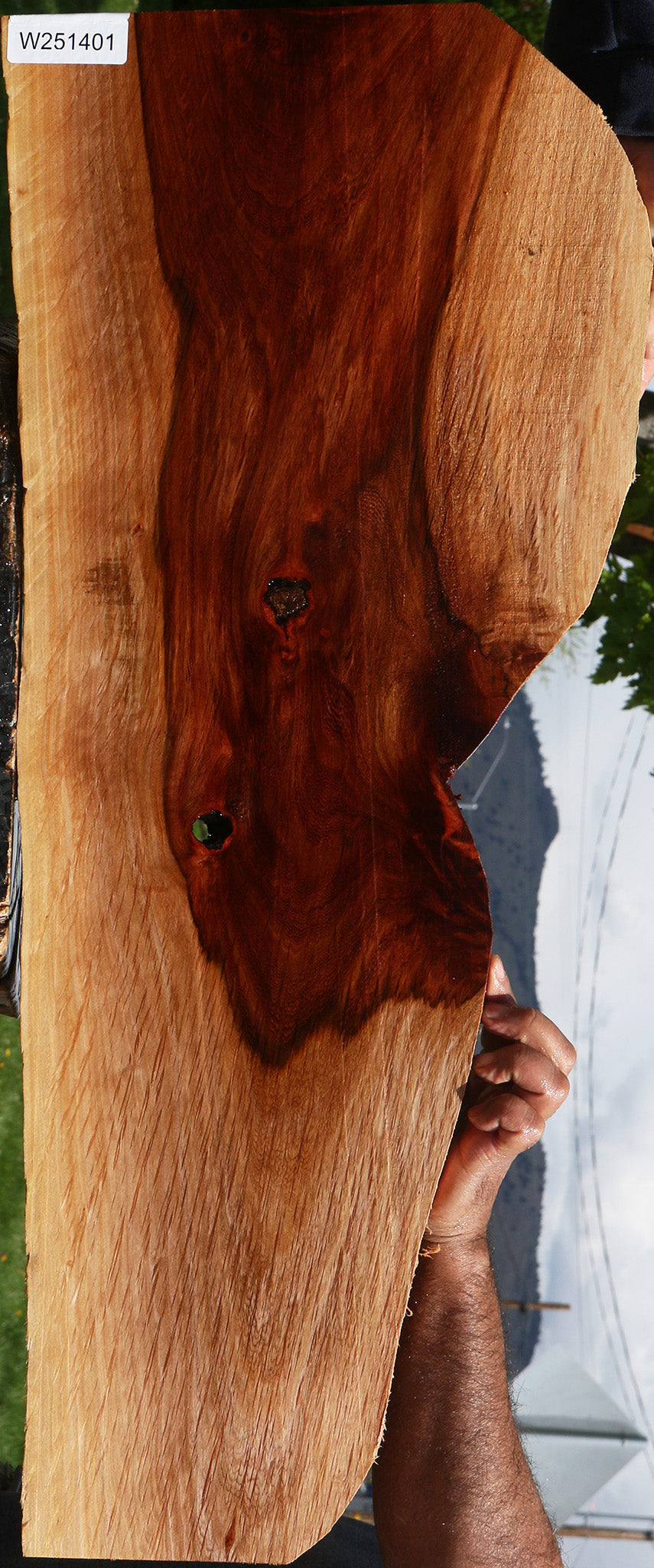 Figured Beefwood Live Edge Lumber
