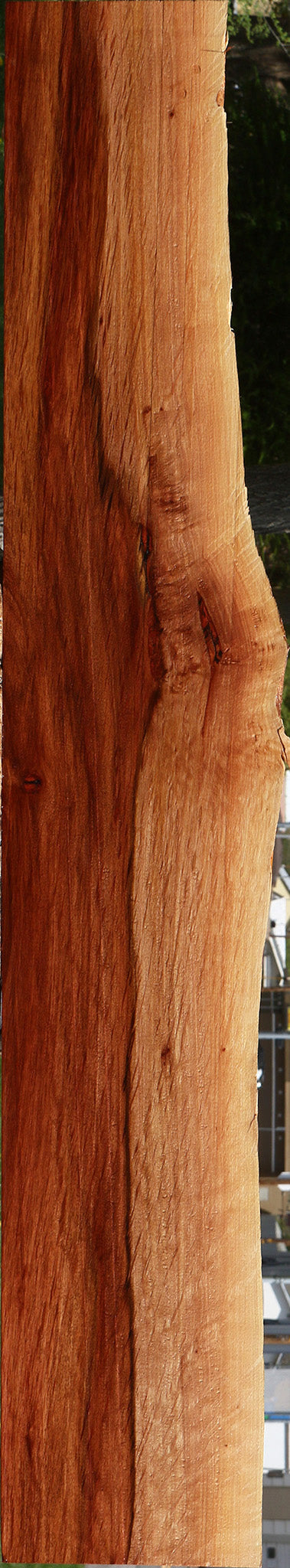 Figured Beefwood Live Edge Lumber