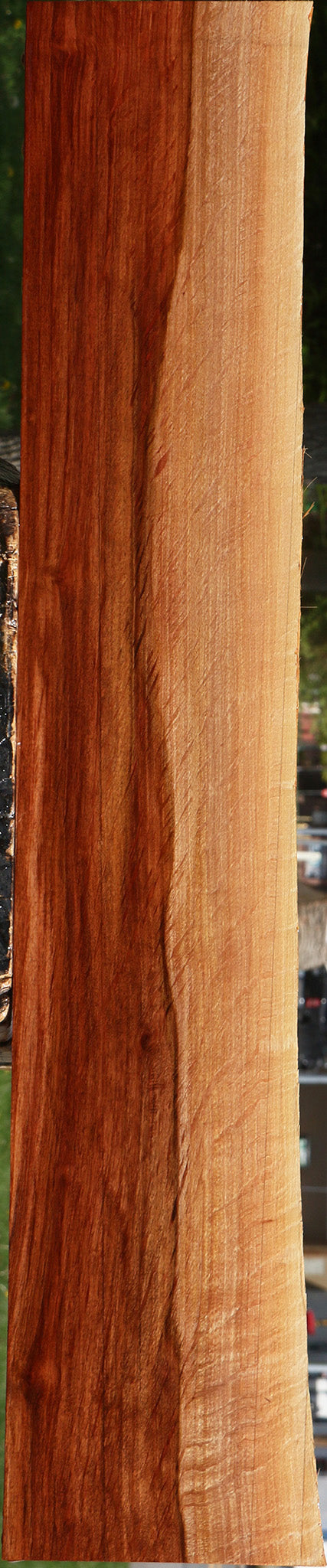 Figured Beefwood Live Edge Lumber