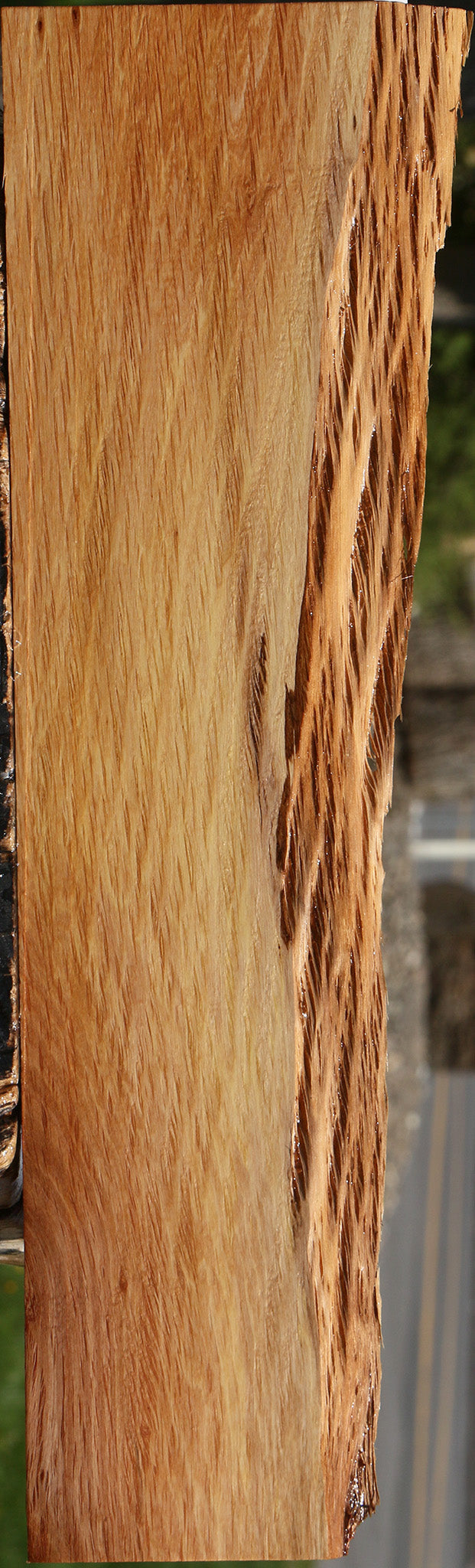 Beefwood Live Edge Lumber
