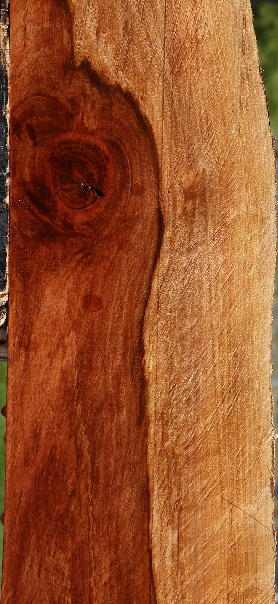Figured Beefwood Live Edge Lumber