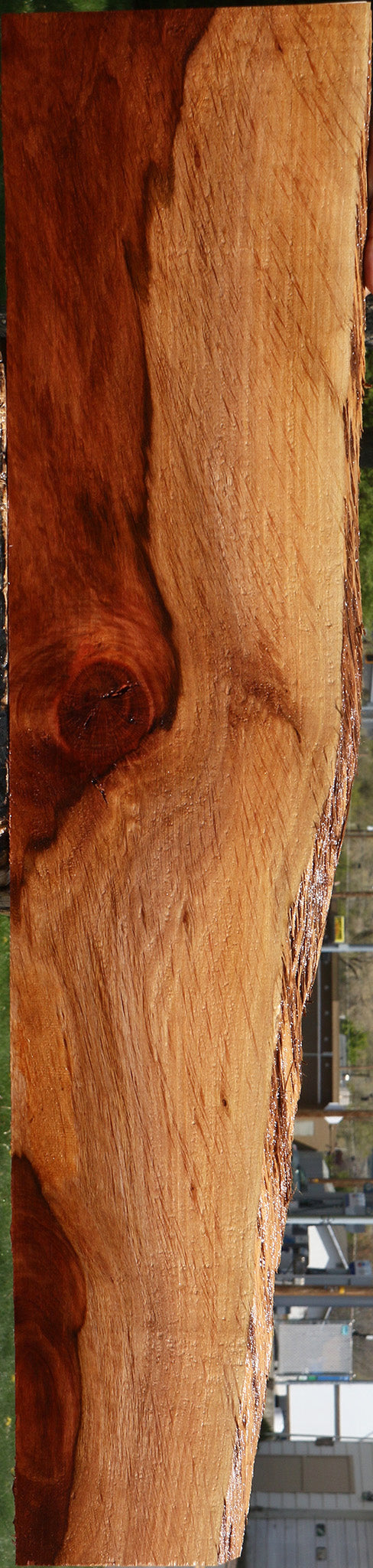 Figured Beefwood Live Edge Lumber