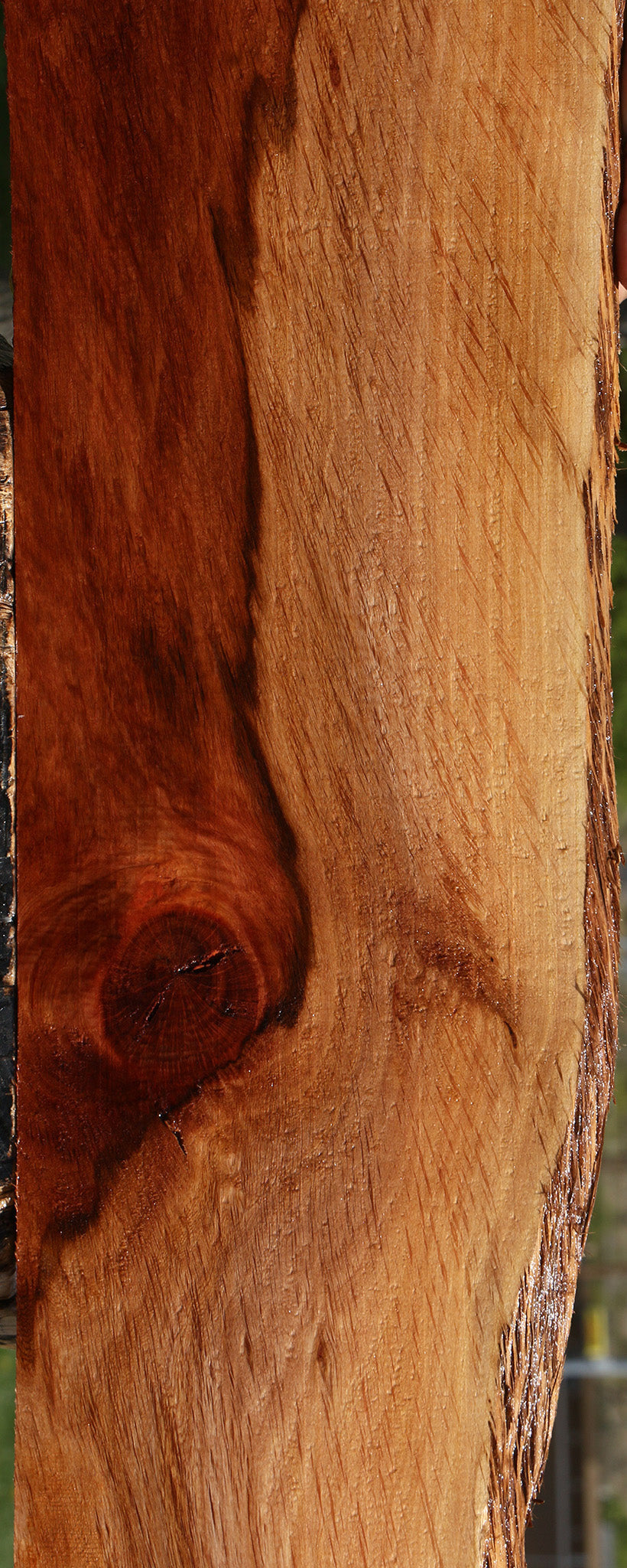 Figured Beefwood Live Edge Lumber