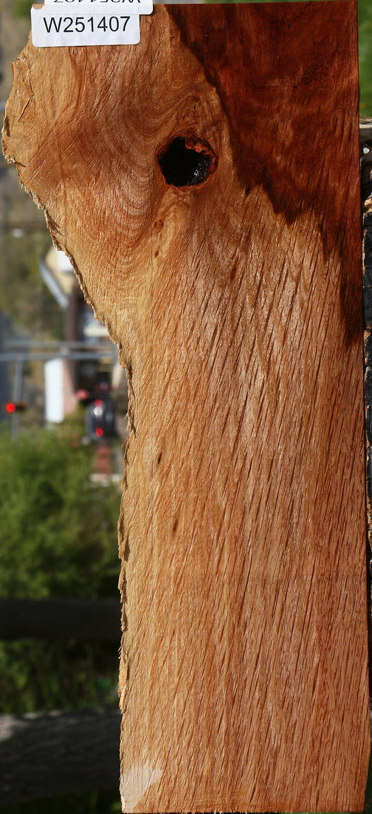Beefwood Live Edge Lumber