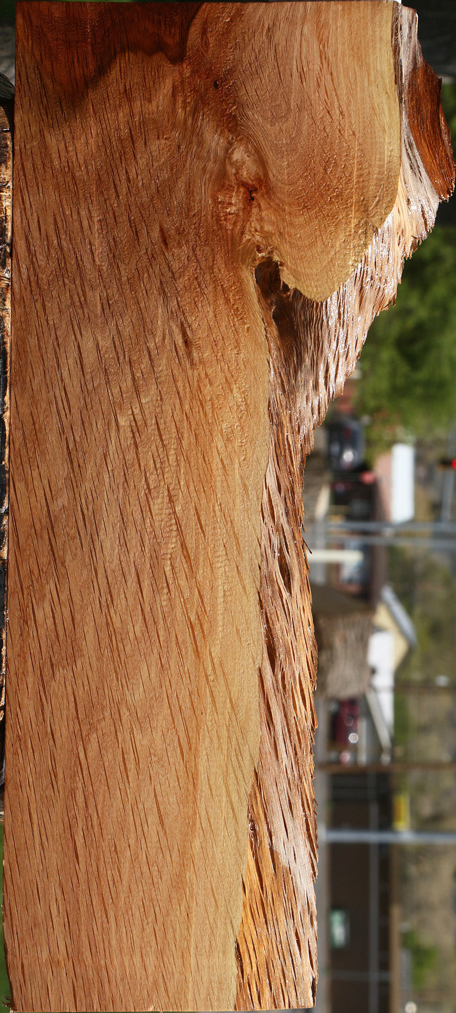 Beefwood Live Edge Lumber