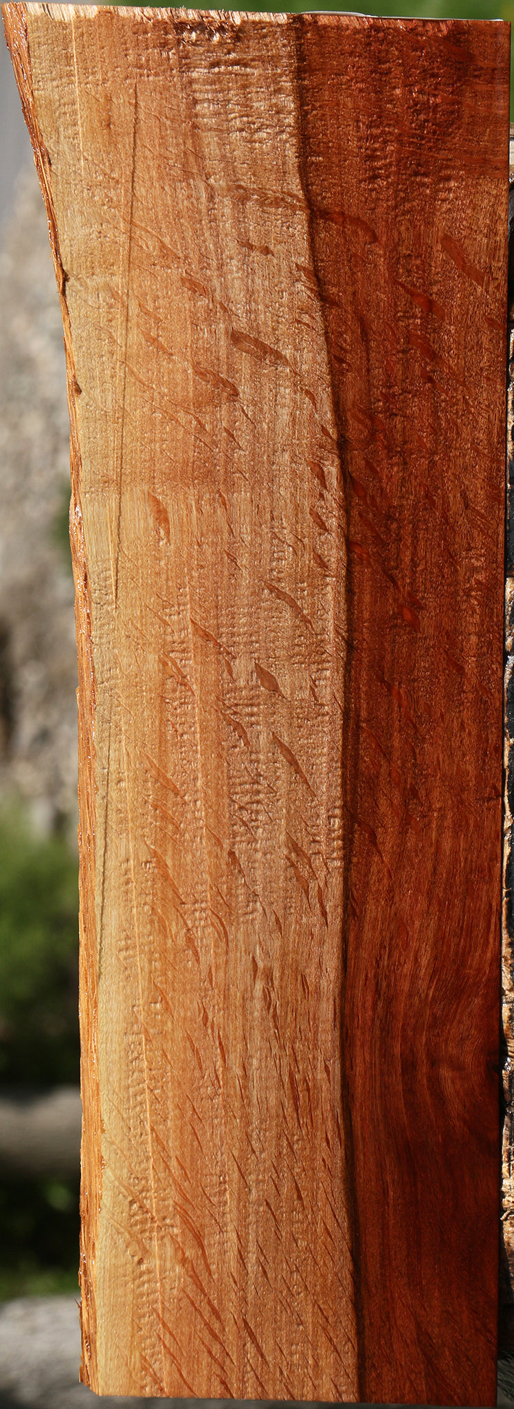 Extra Fancy Beefwood Live Edge Lumber
