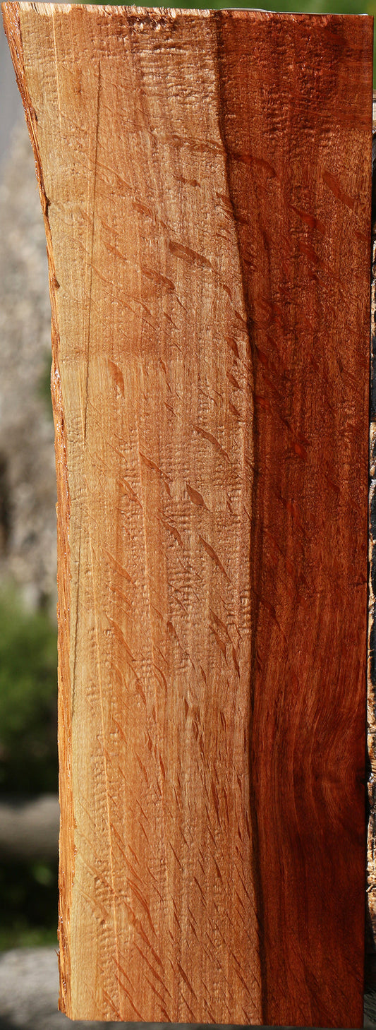 Extra Fancy Beefwood Live Edge Lumber