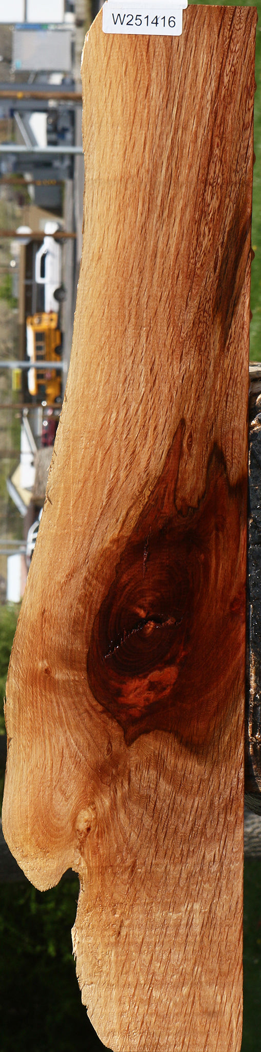 Beefwood Live Edge Lumber