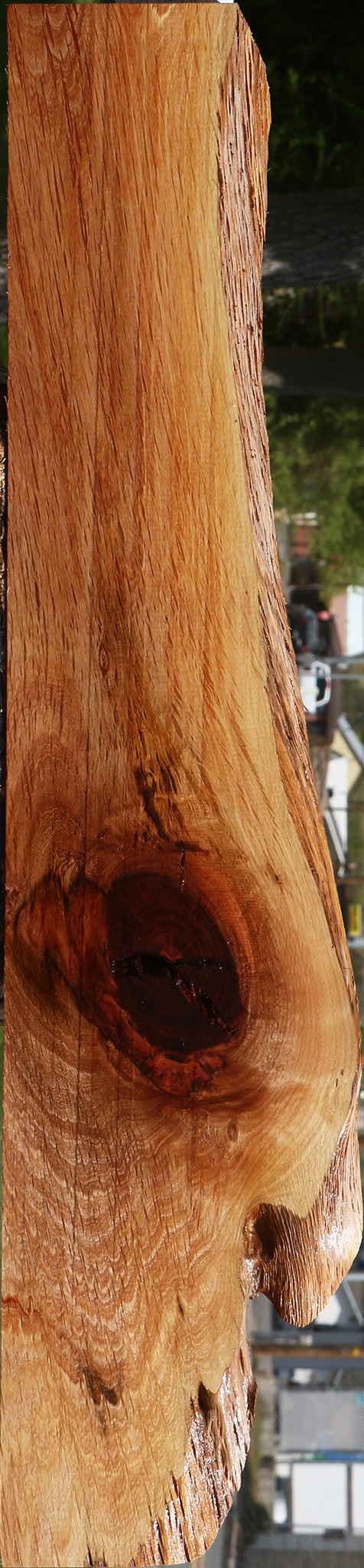 Beefwood Live Edge Lumber