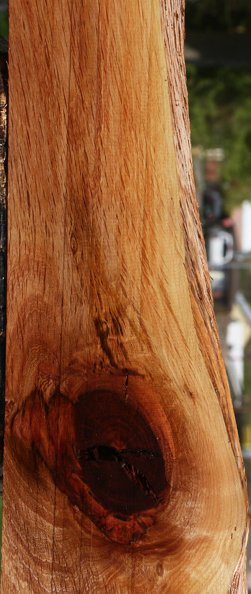 Beefwood Live Edge Lumber
