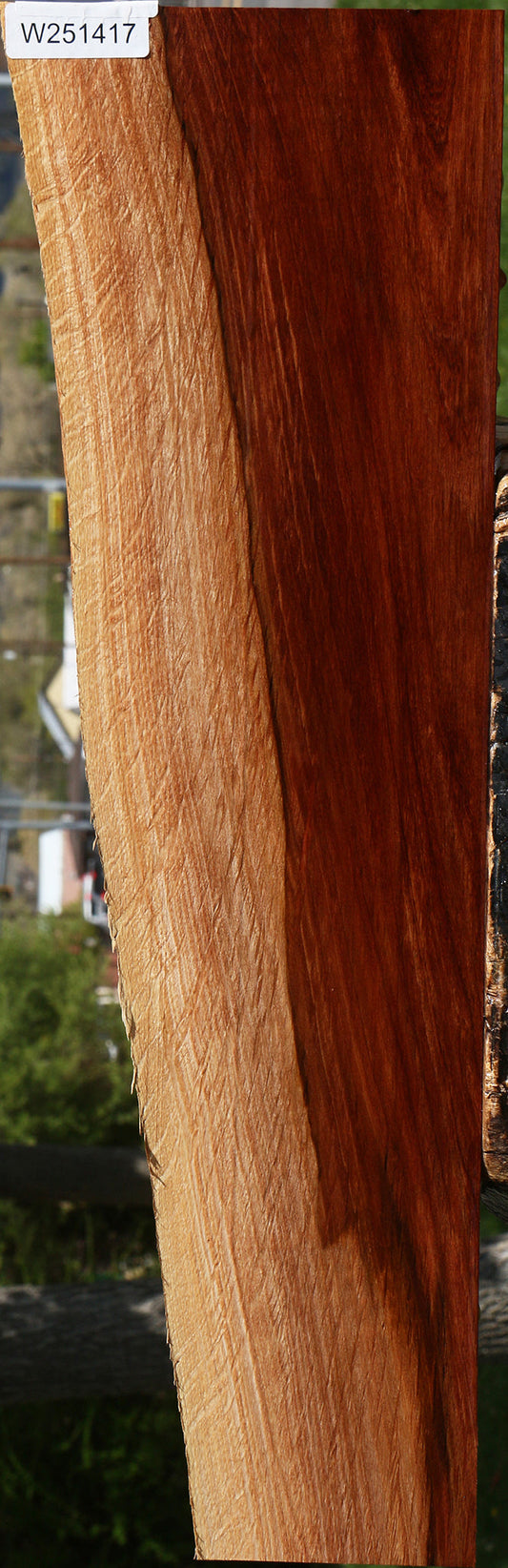 Figured Beefwood Live Edge Lumber