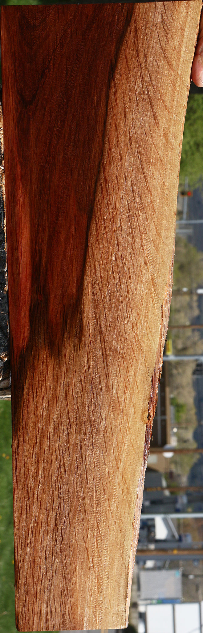 Figured Beefwood Live Edge Lumber