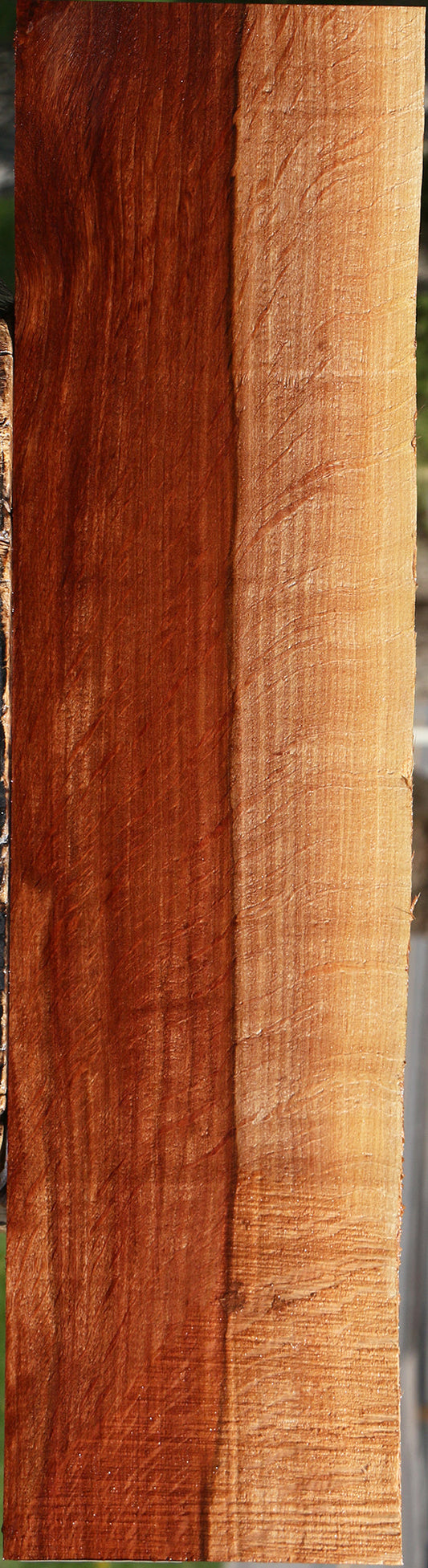 Extra Fancy Beefwood Live Edge Micro Lumber