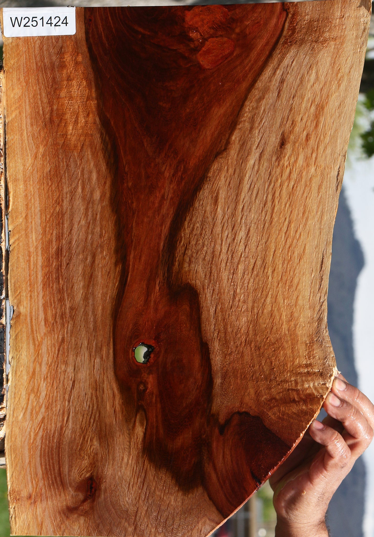 Figured Beefwood Live Edge Lumber