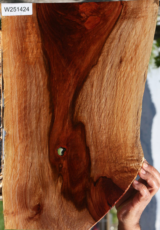 Figured Beefwood Live Edge Lumber