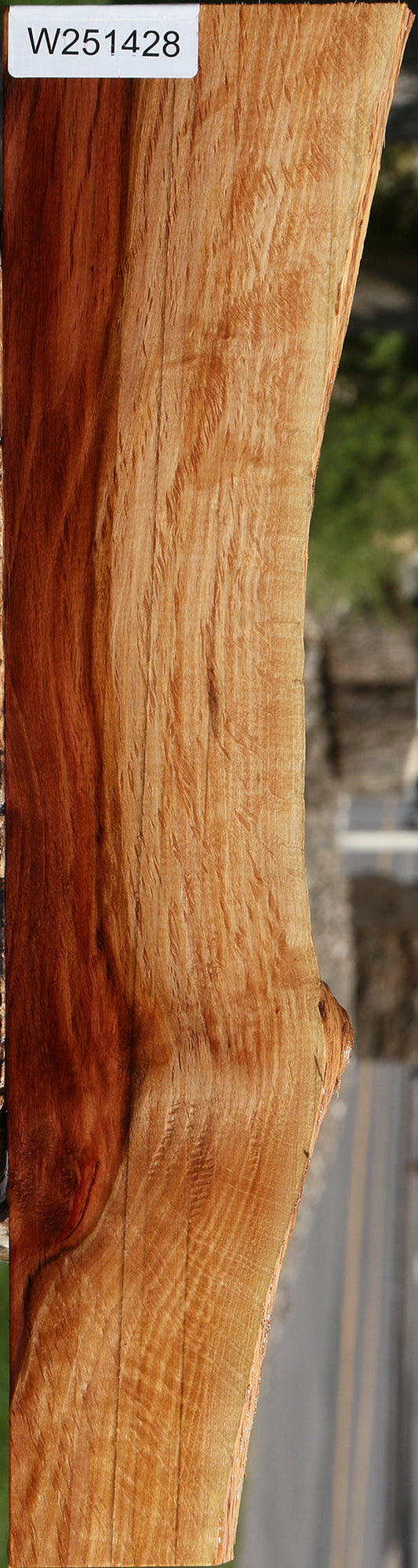 Figured Beefwood Live Edge Micro Lumber