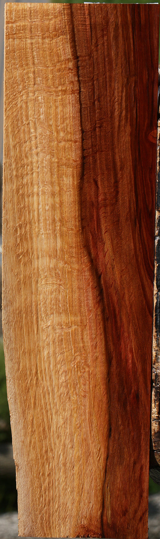 Extra Fancy Beefwood Live Edge Lumber