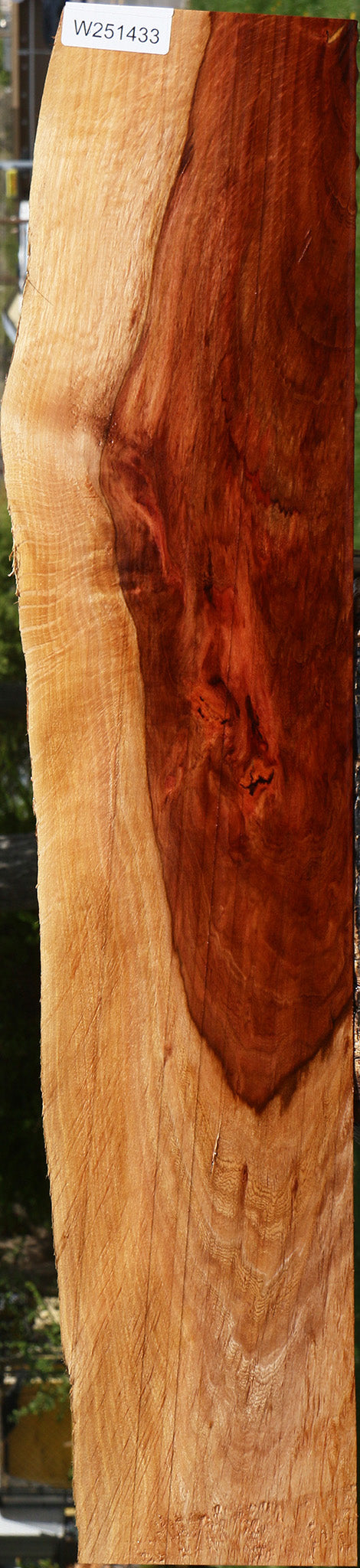 Beefwood Live Edge Lumber