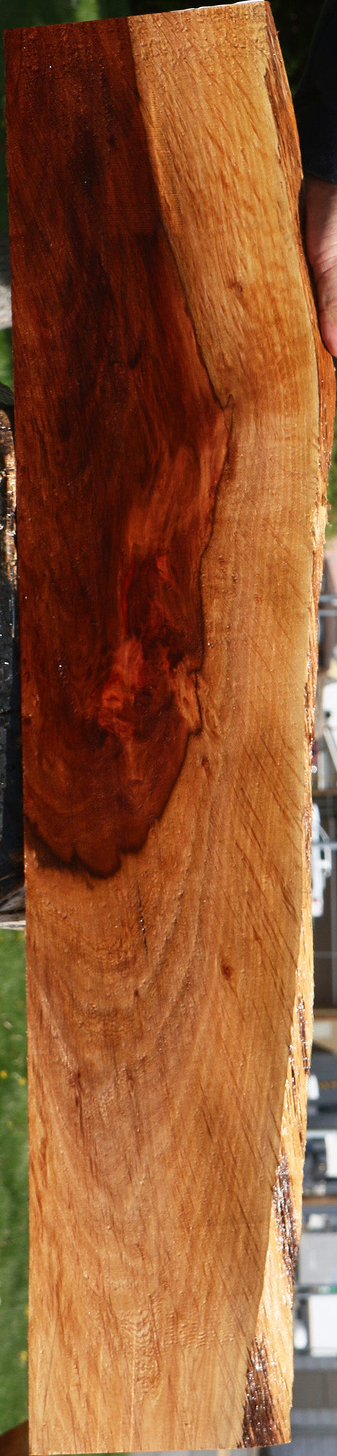 Beefwood Live Edge Lumber