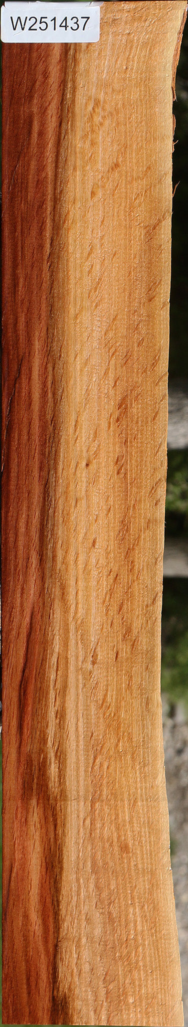 Beefwood Live Edge Lumber