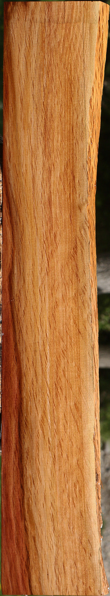 Beefwood Live Edge Lumber
