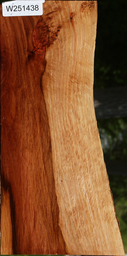 Beefwood Live Edge Lumber