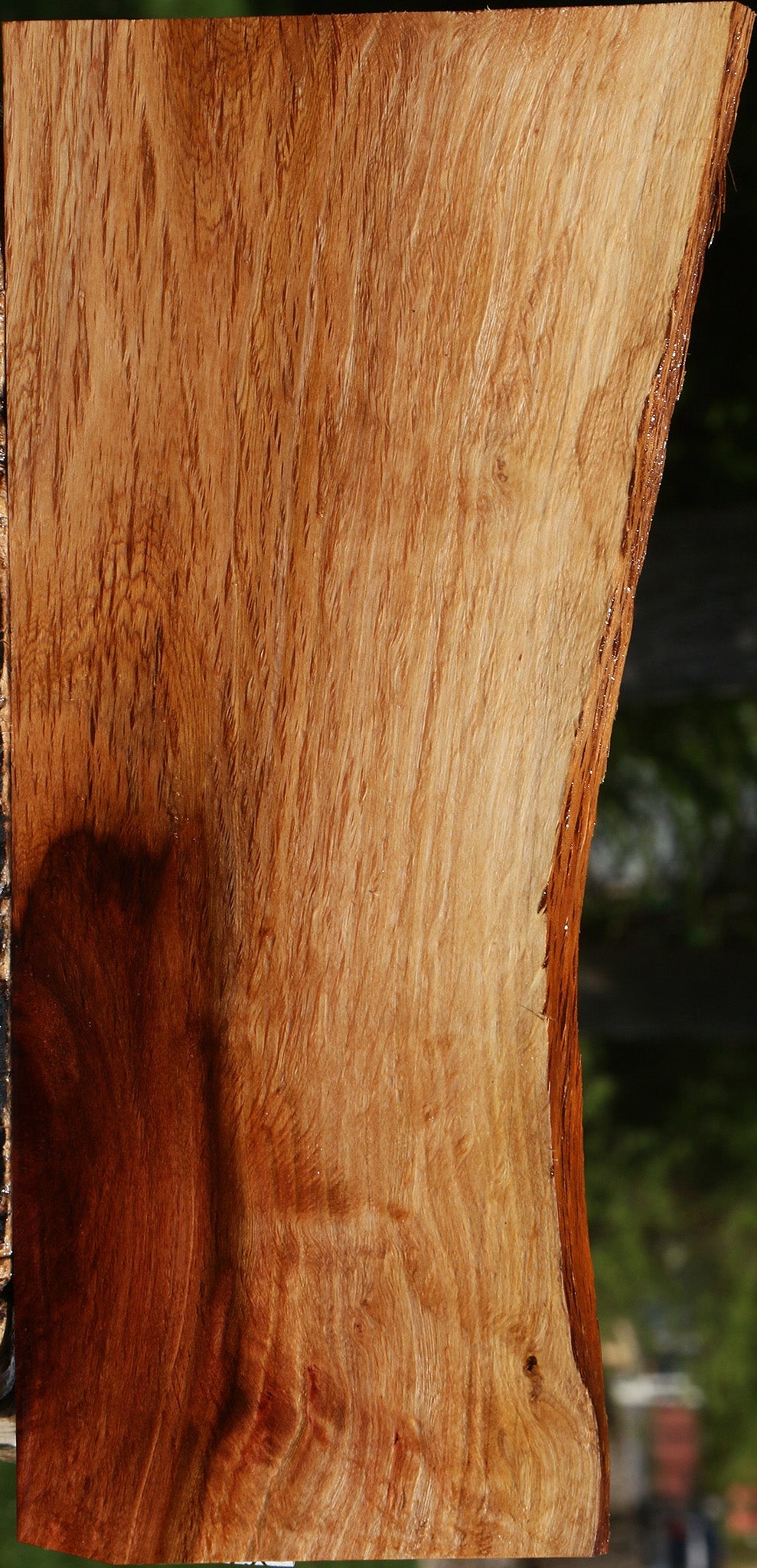 Beefwood Live Edge Lumber