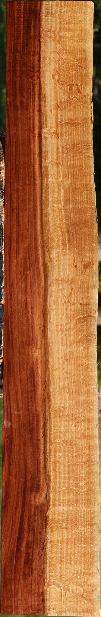 Figured Beefwood Live Edge Lumber