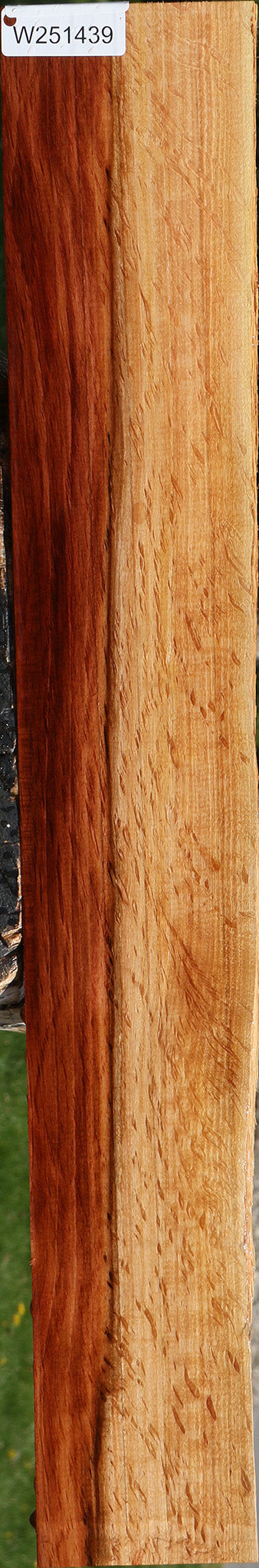 Figured Beefwood Live Edge Lumber