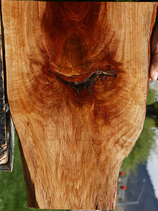 Figured Beefwood Live Edge Lumber