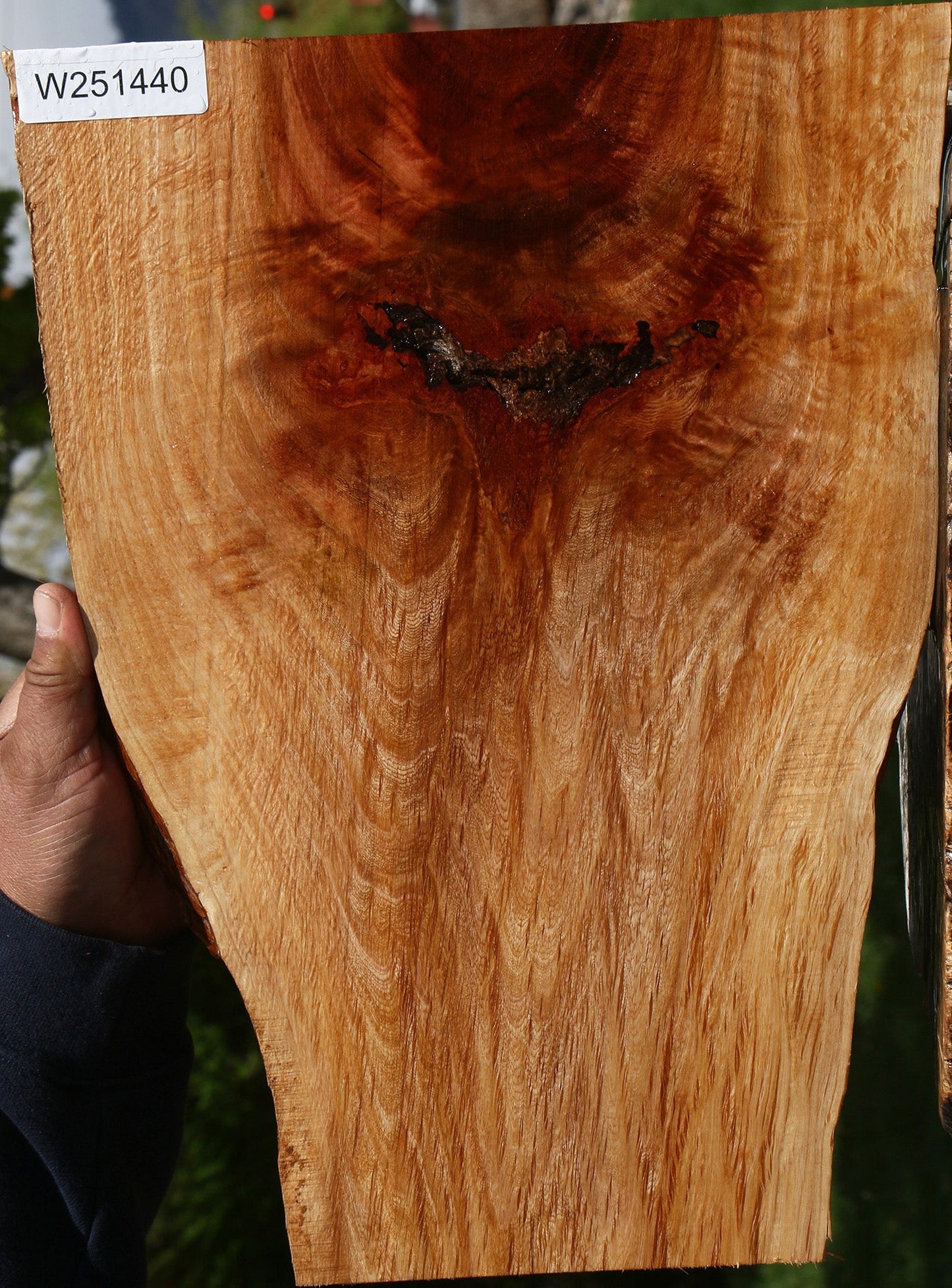 Figured Beefwood Live Edge Lumber