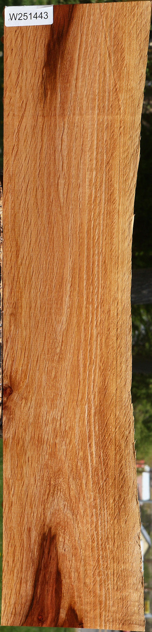 Beefwood Live Edge Lumber
