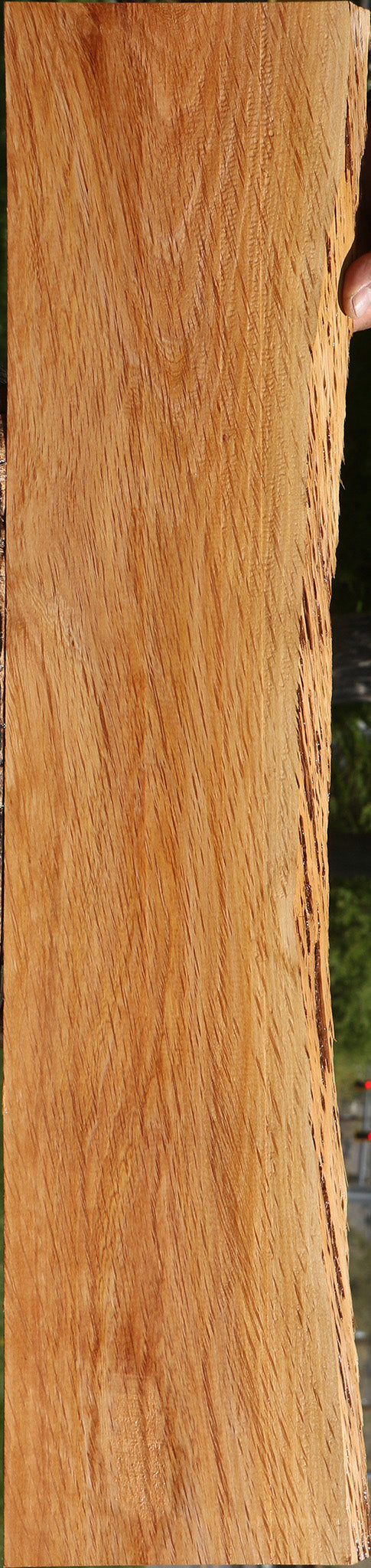 Beefwood Live Edge Lumber