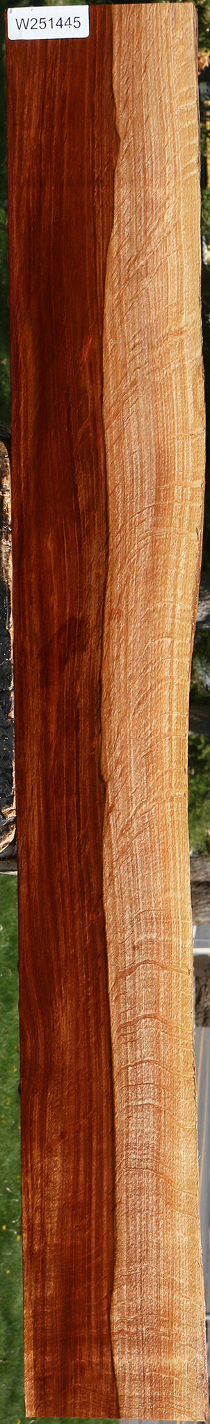 Extra Fancy Beefwood Live Edge Lumber