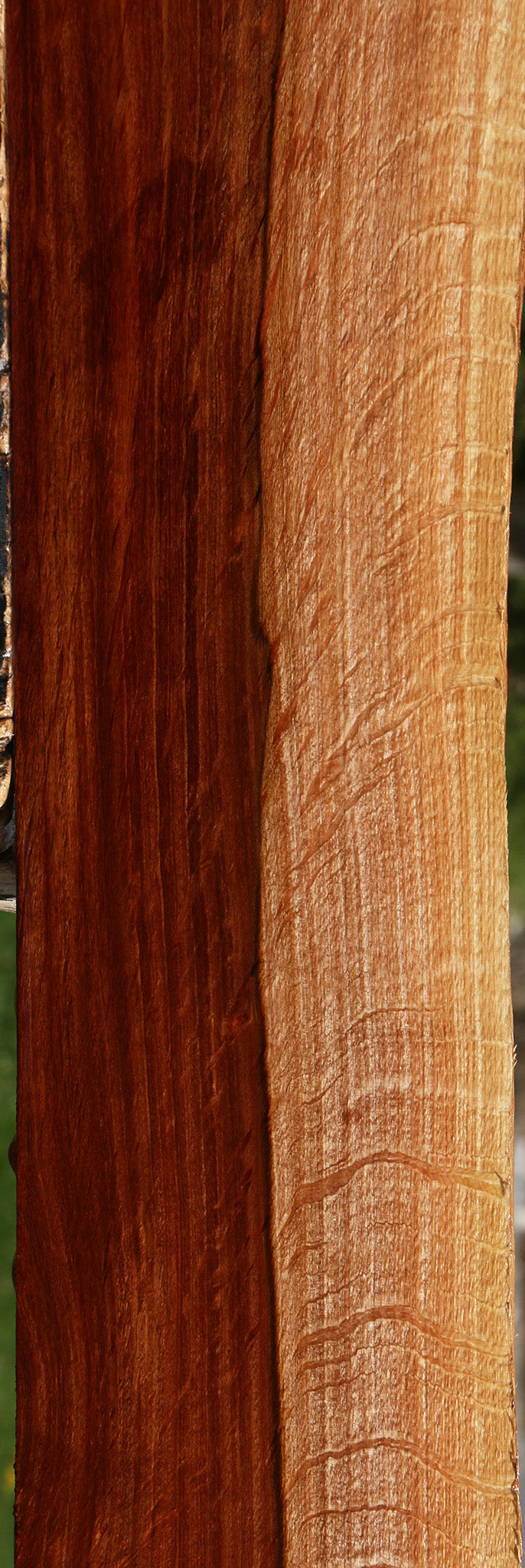 Extra Fancy Beefwood Live Edge Lumber