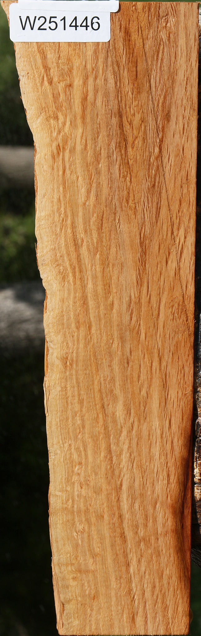 Beefwood Live Edge Lumber