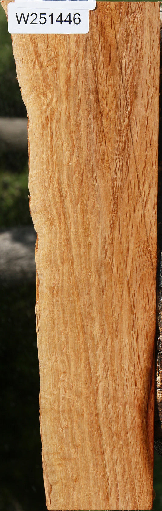 Beefwood Live Edge Lumber