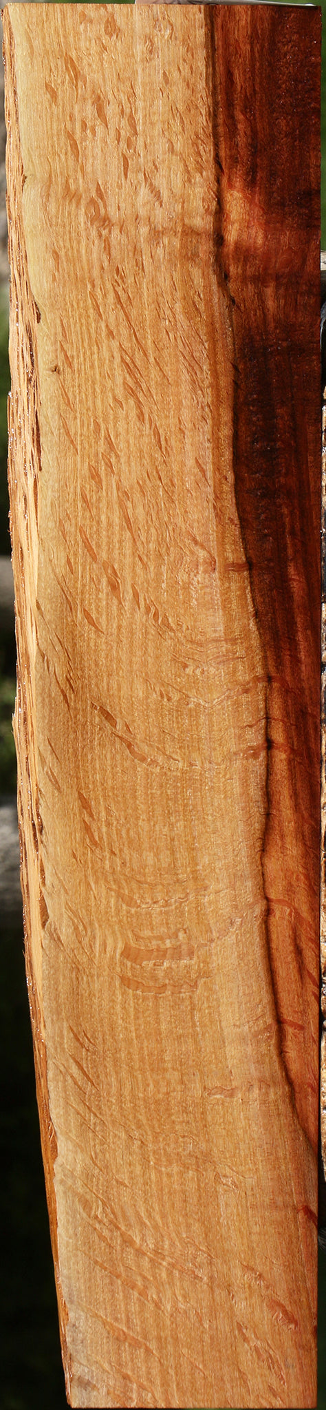 Extra Fancy Beefwood Live Edge Lumber