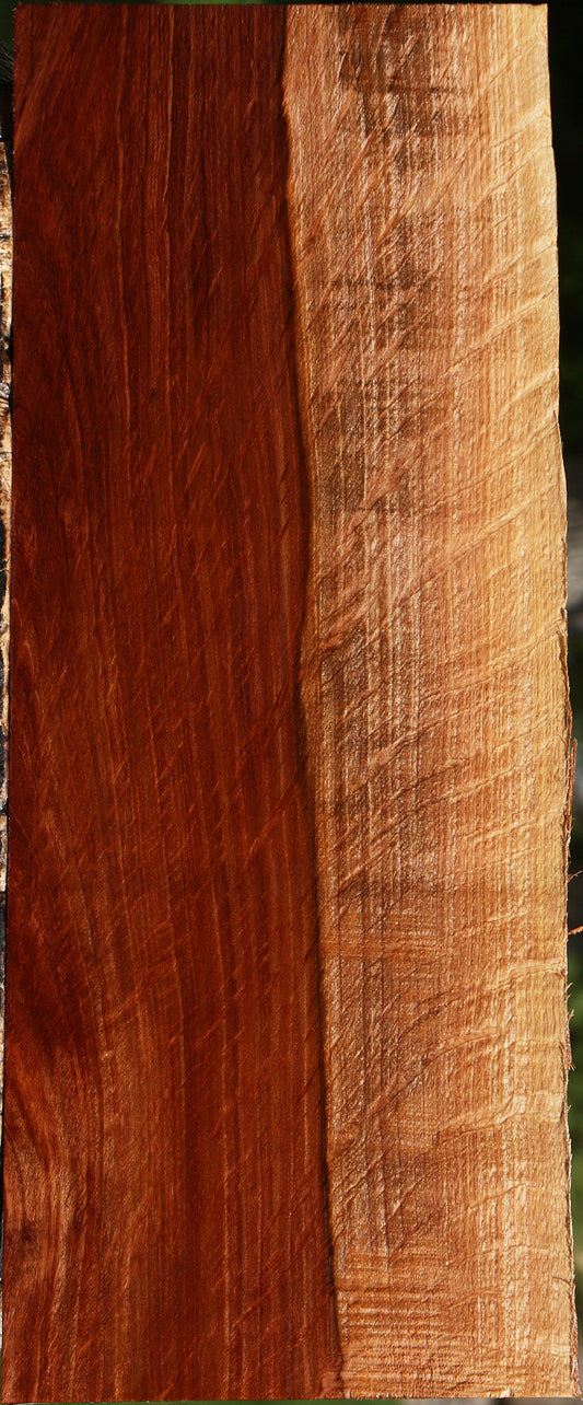 Extra Fancy Beefwood Live Edge Lumber