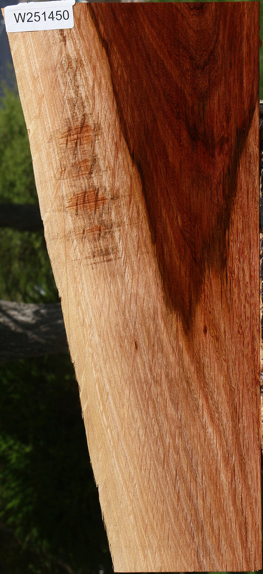 Beefwood Live Edge Lumber