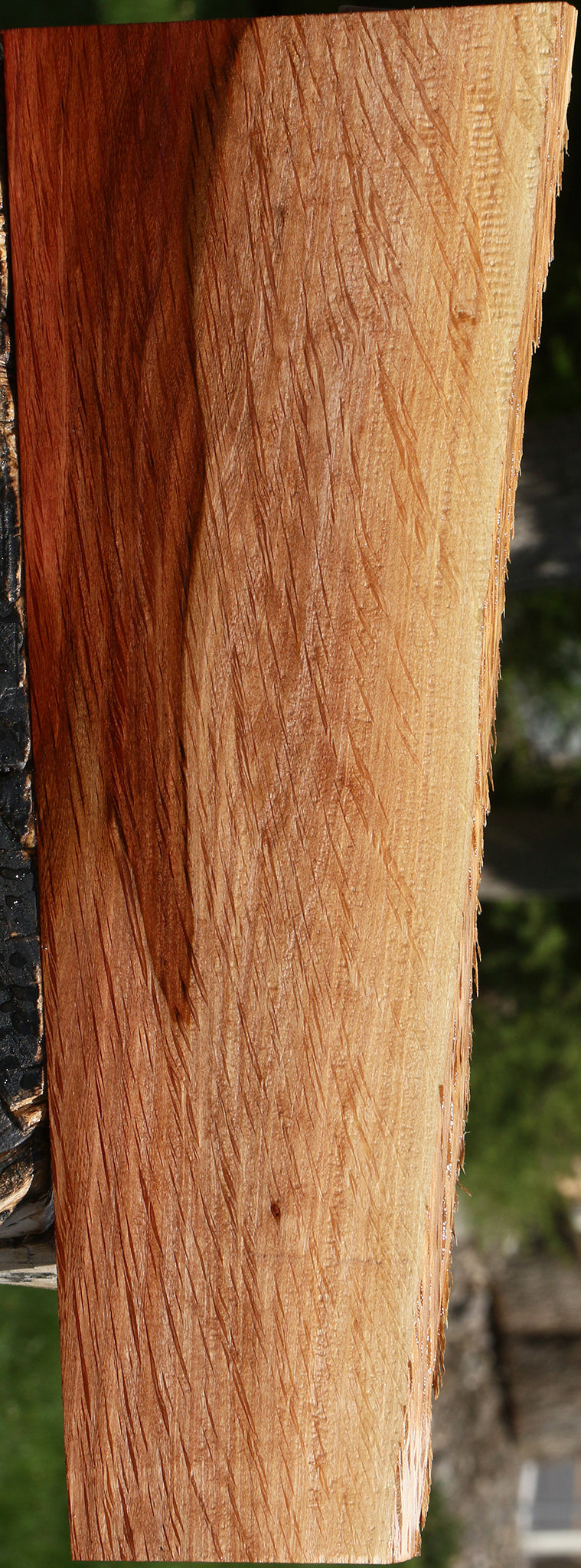Beefwood Live Edge Lumber
