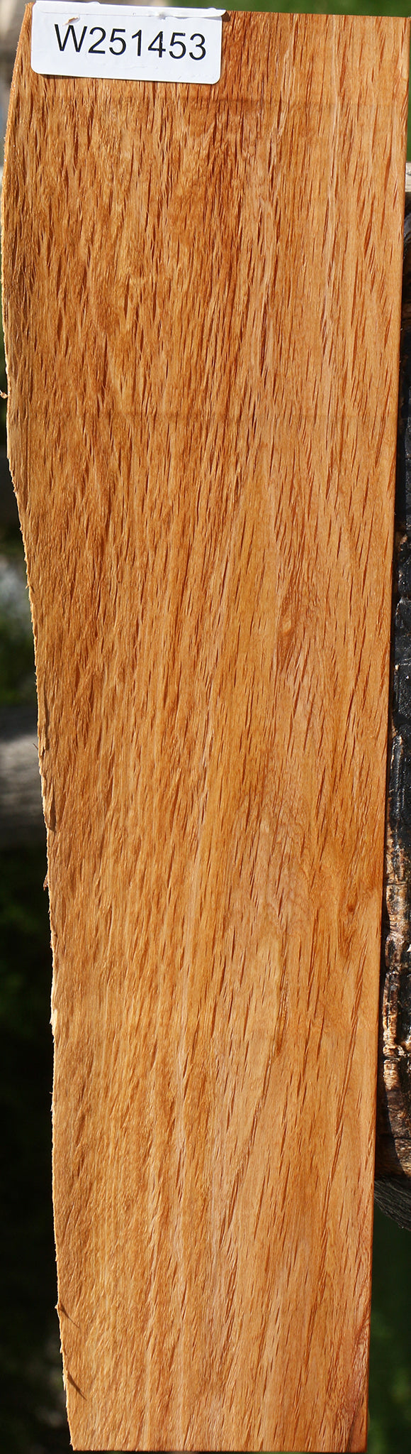 Beefwood Live Edge Lumber