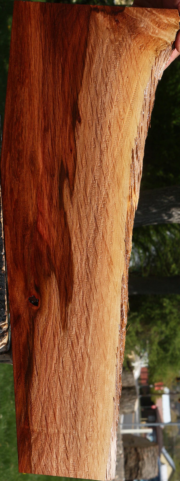 Beefwood Live Edge Lumber