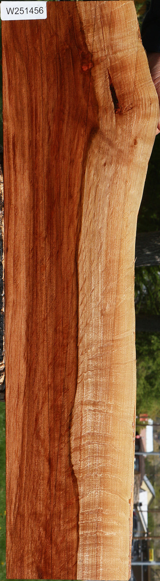 Extra Fancy Beefwood Live Edge Lumber