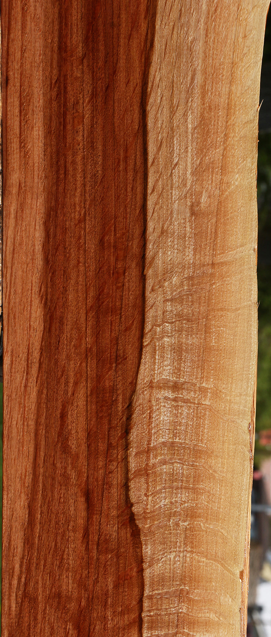 Extra Fancy Beefwood Live Edge Lumber