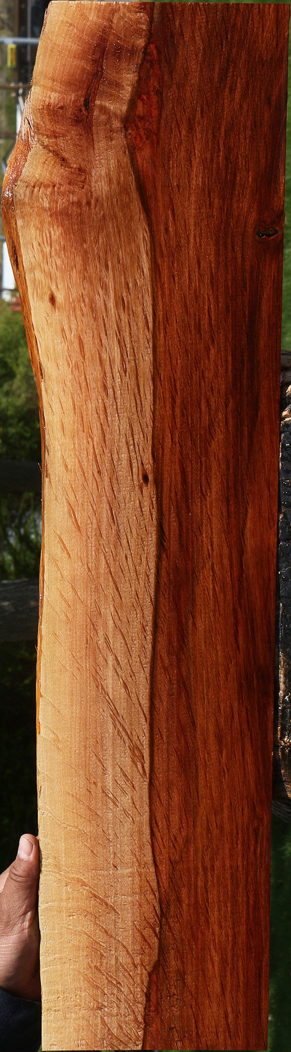 Extra Fancy Beefwood Live Edge Lumber
