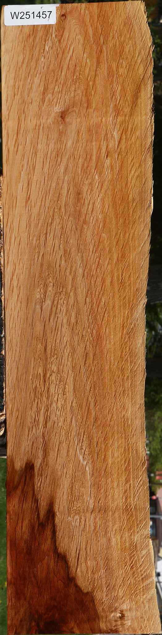 Beefwood Live Edge Lumber